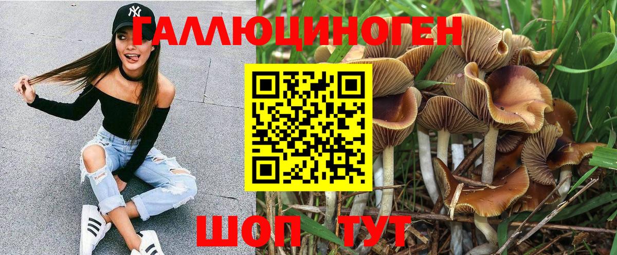 где найти наркотики  Псилоцибиновые грибы Magic Shrooms  Вход с VPN  Камышлов 